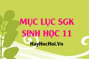 Mục lục Sách Giáo Khoa SGK Sinh học 11